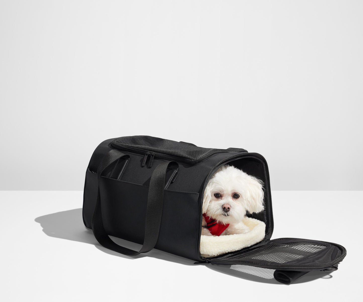 The Pet Carrier